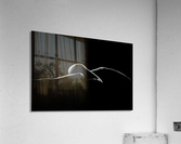 Nude woman bodyscape 7 Acrylic Print