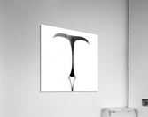 Sensual abstract buttocks Acrylic Print