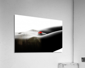 Nude bodyscape on white 1 Acrylic Print