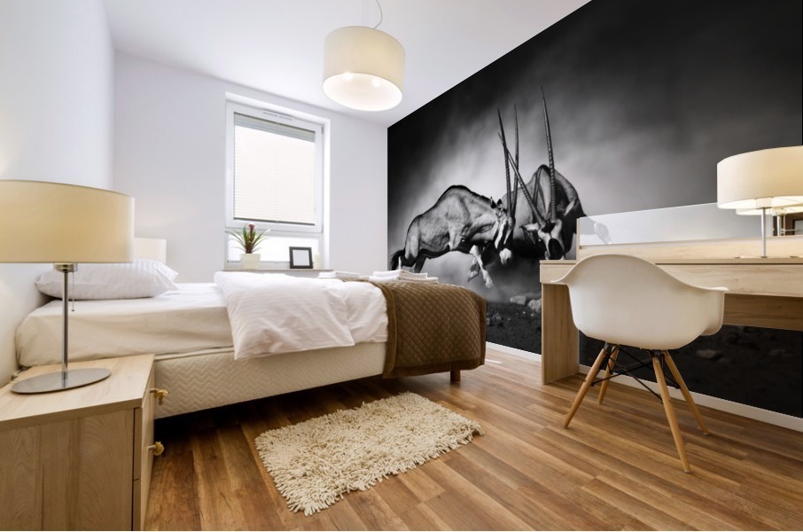 Gemsbok fight Mural print