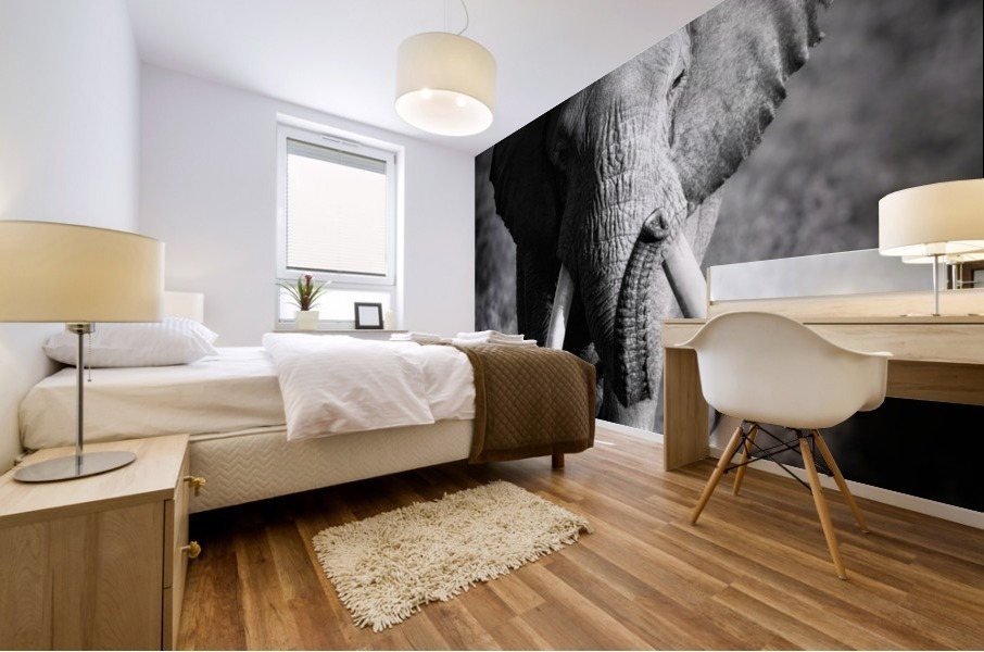 Elephant Bull Mural print