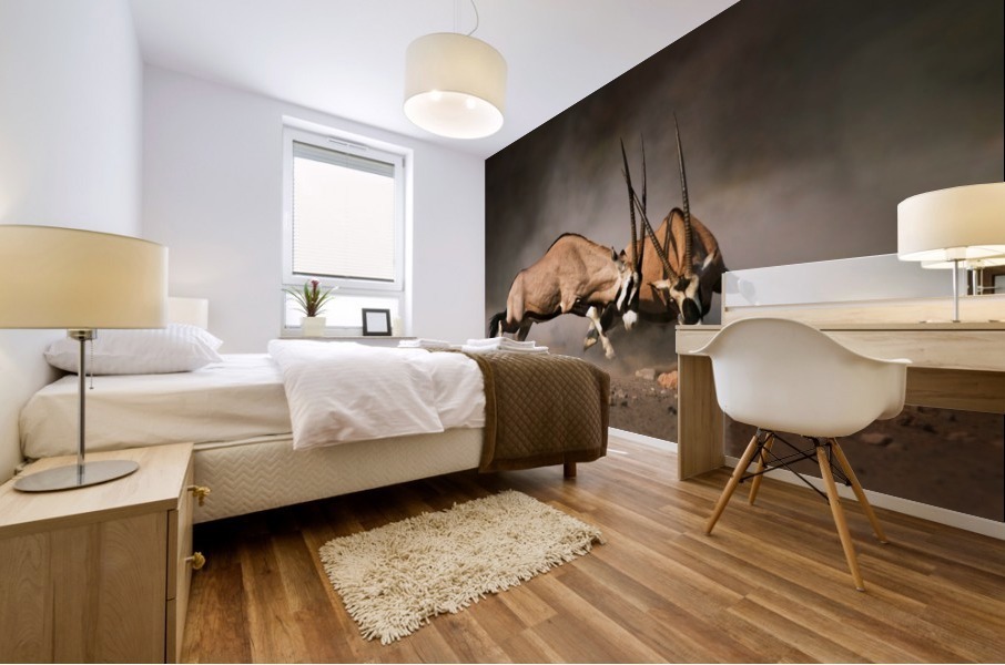Gemsbok fight Mural print