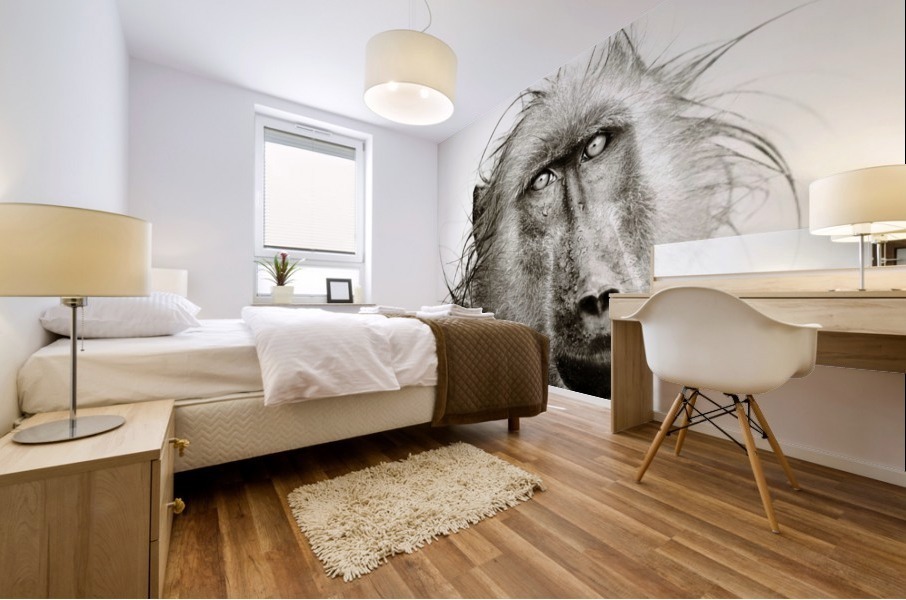 Wet Baboon portrait Mural print