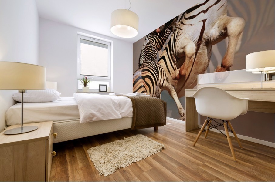 Zebras fighting Mural print