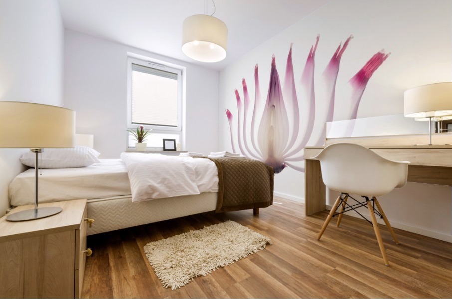 Red Onion Translucent peeled layers Mural print