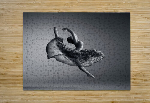 puzzle1small_170864.jpg