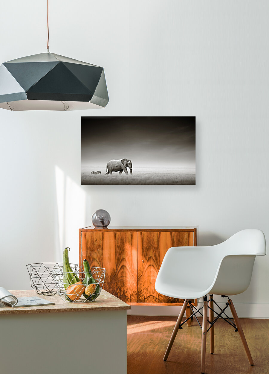 Elephant with zebra (Artistic processing) Reproduction