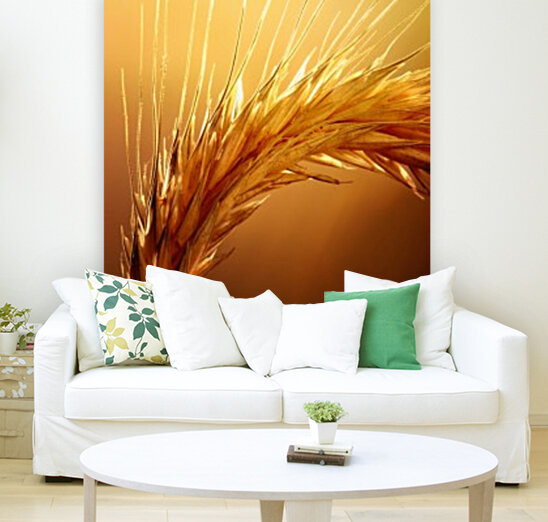 Wheat macro Reproduction
