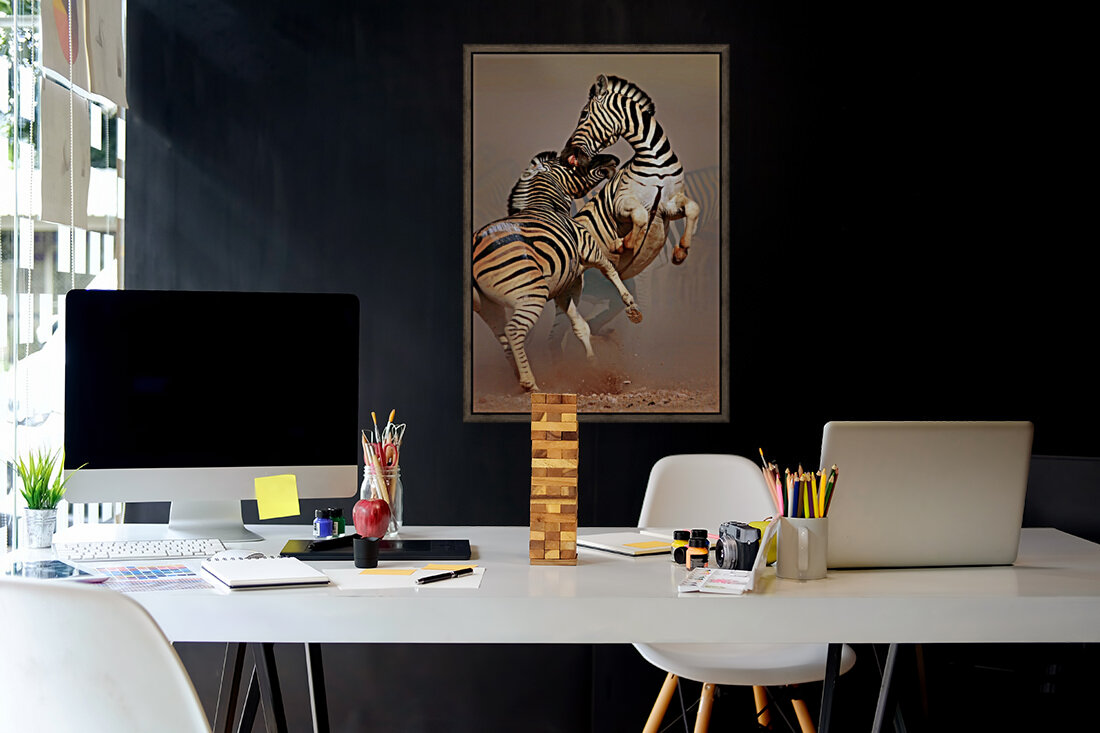 Zebras fighting Reproduction