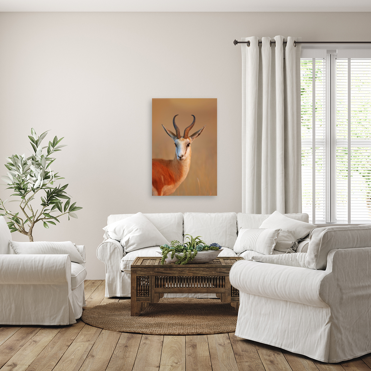 Springbok  portrait Reproduction