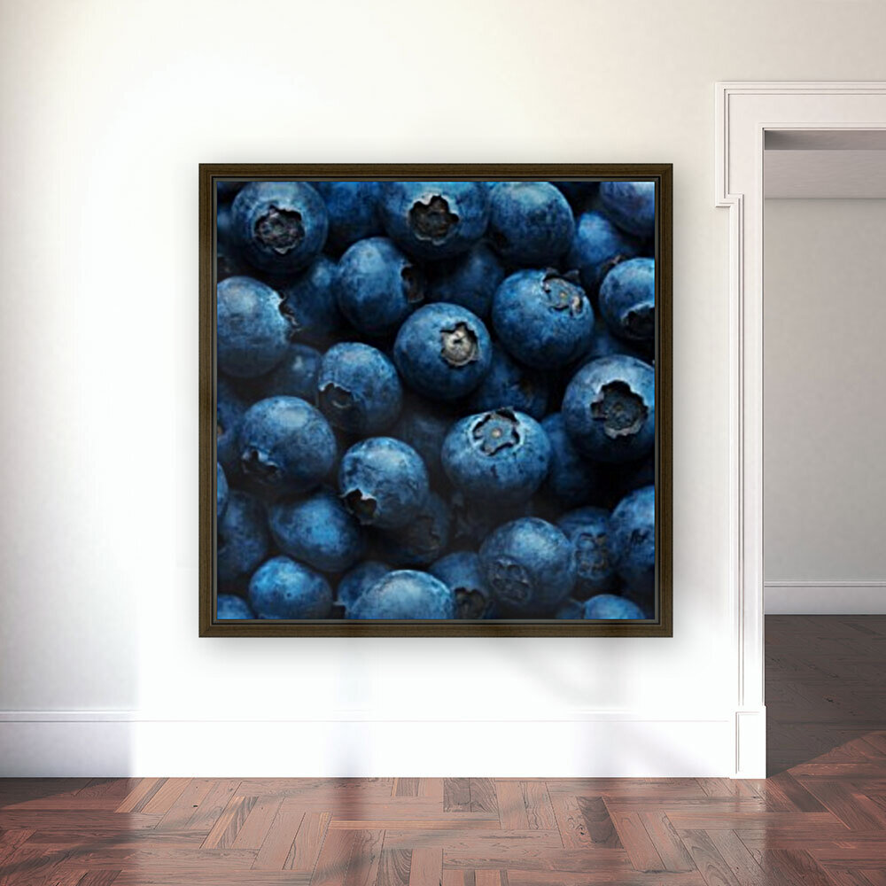 Blueberries Background Close-up Reproduction