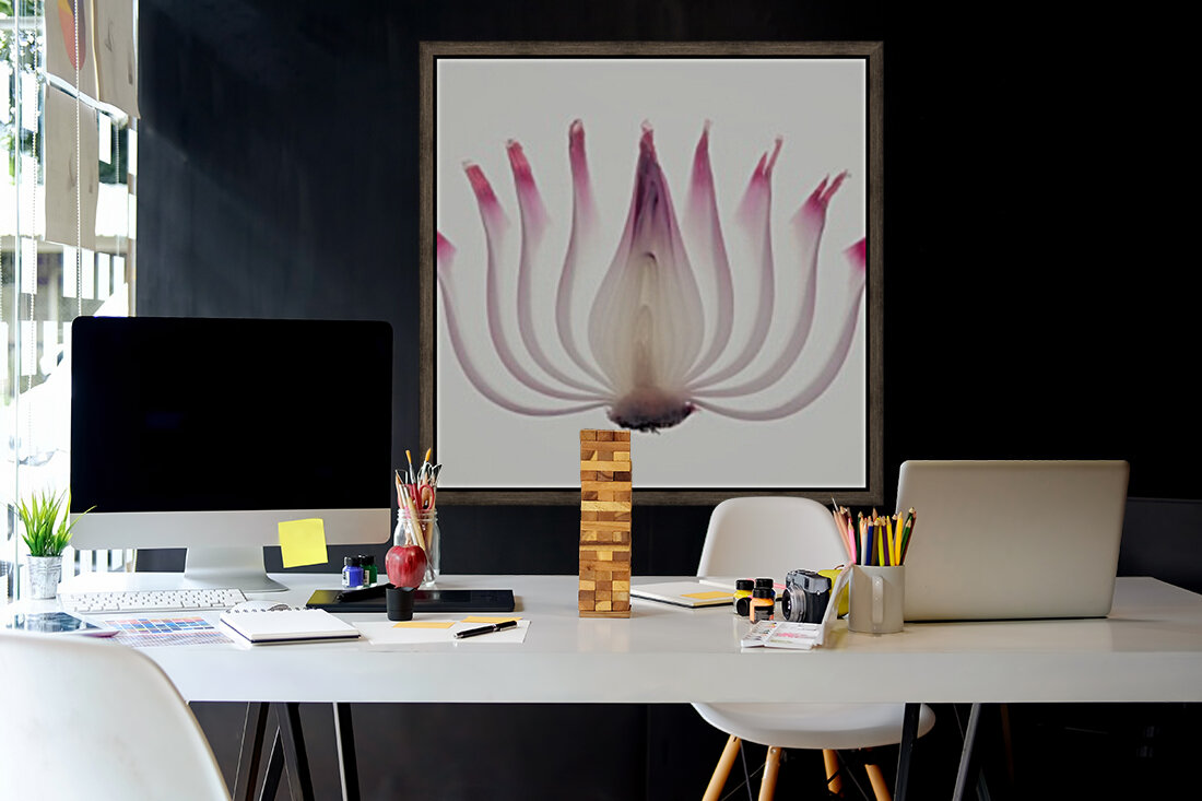 Red Onion Translucent peeled layers Reproduction