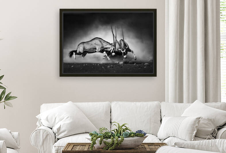 Gemsbok fight by Johan Swanepoel