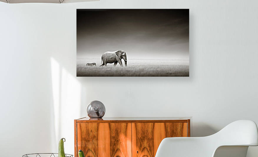 Elephant with zebra (Artistic processing) by Johan Swanepoel