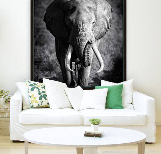 Elephant Bull by Johan Swanepoel
