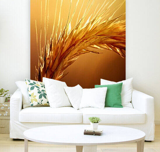 Wheat macro Reproduction