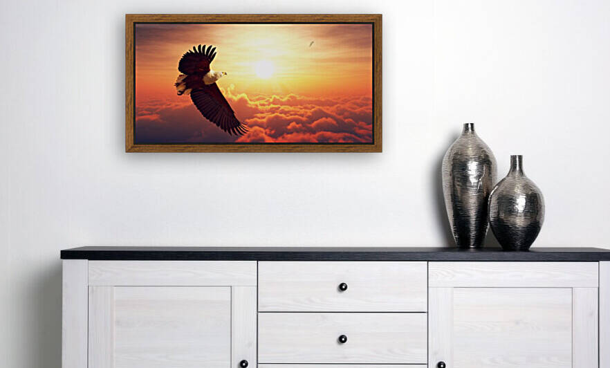 Fish Eagle flying above clouds by Johan Swanepoel