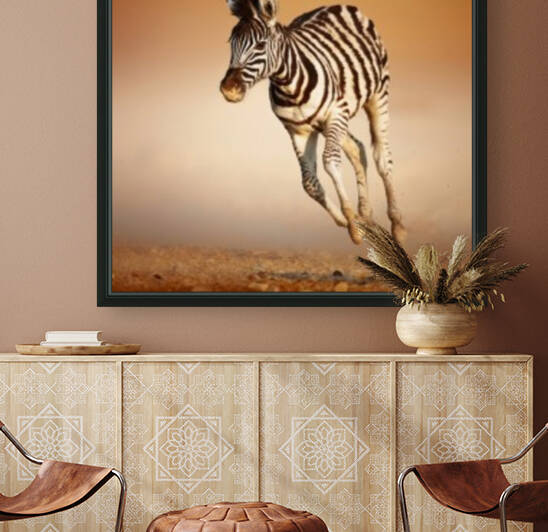 Zebra calf running by Johan Swanepoel