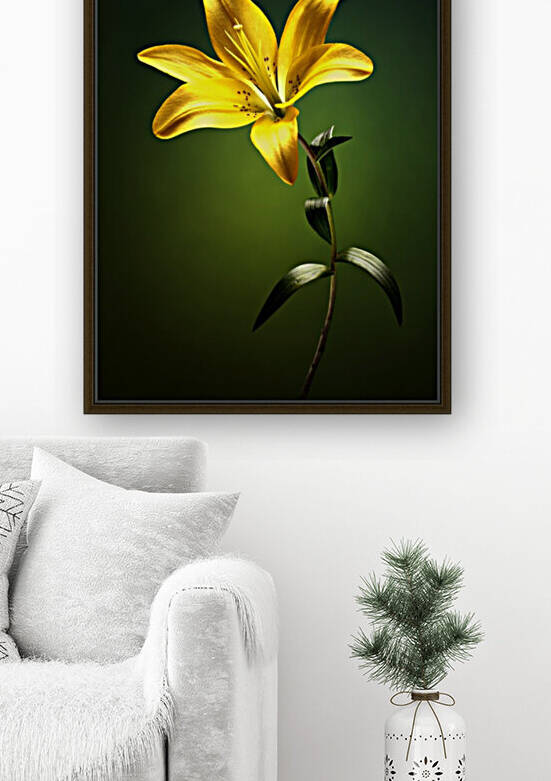 Yellow lily with stem by Johan Swanepoel