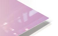 Red Onion Translucent layers HD Metal print
