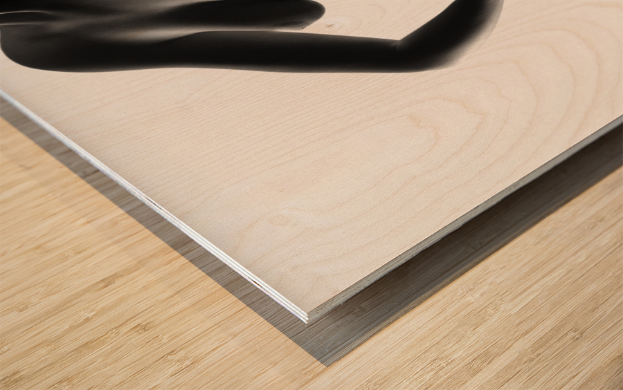 Nude black versus white 1 Wood print