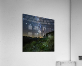 Starry Edelweiss Acrylic Print