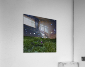 Starry Armerie Acrylic Print