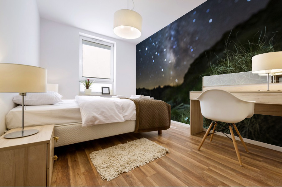 Starry Edelweiss Mural print