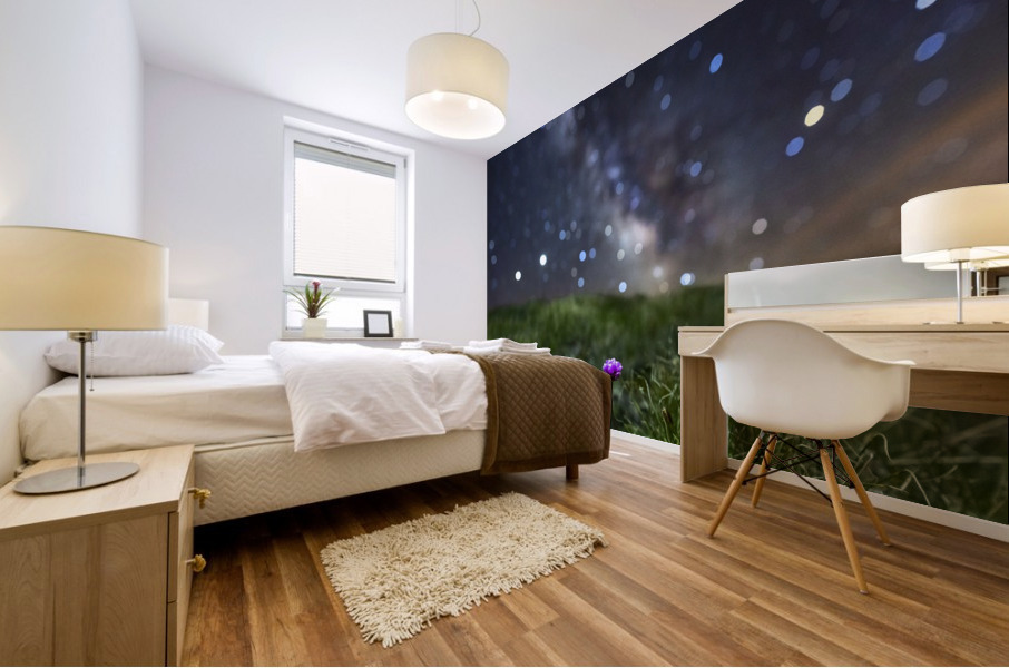Starry Armerie Mural print