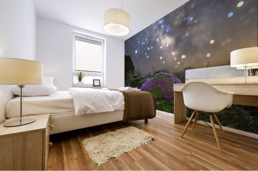 Starry Silene Mural print