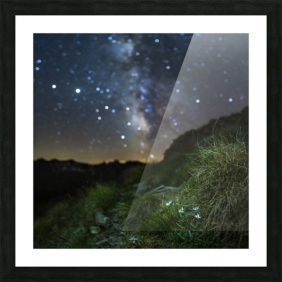 Starry Edelweiss Picture Frame print