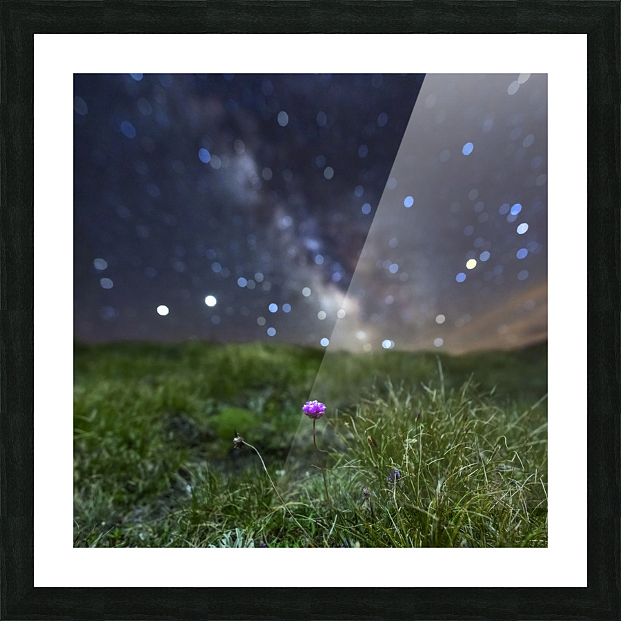 Starry Armerie Picture Frame print