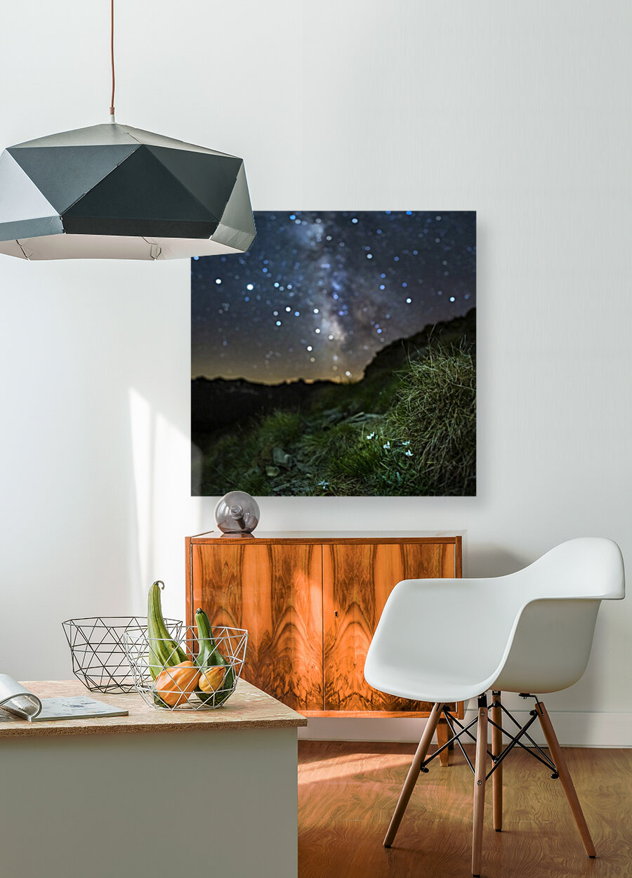 Starry Edelweiss Reproduction