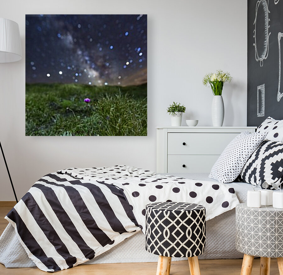 Starry Armerie Reproduction