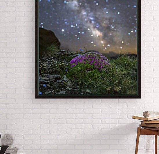 Starry Silene by Jeff Graphy