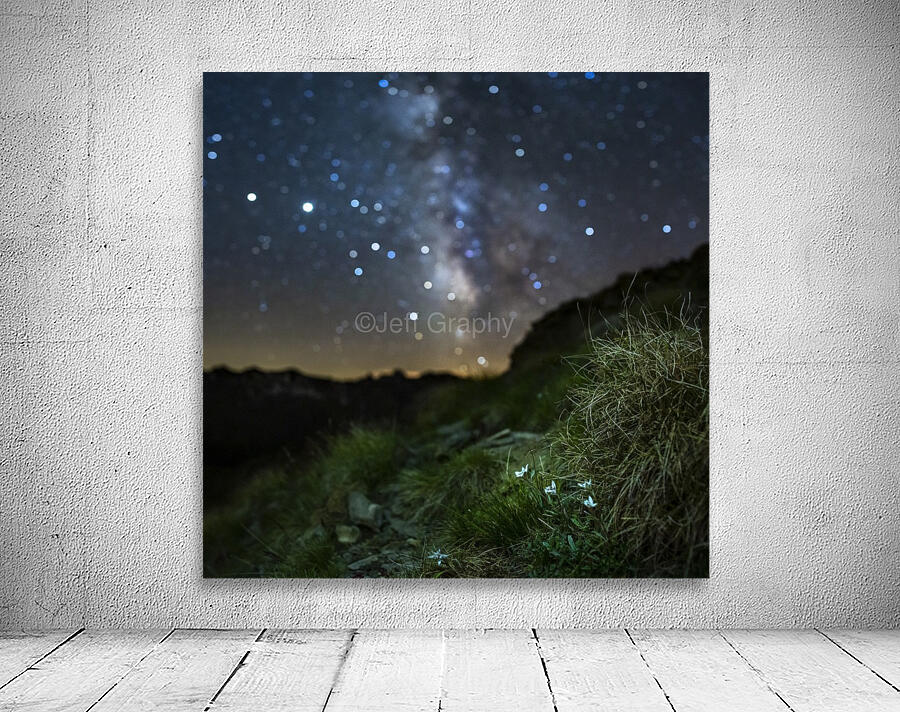 Starry Edelweiss Wall Preview