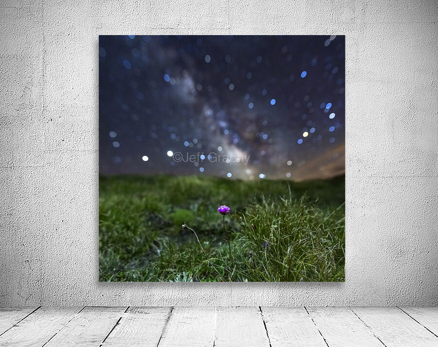 Starry Armerie Wall Preview