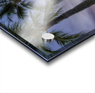 sunset coconut  Acrylic print