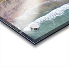 Swamis Acrylic print