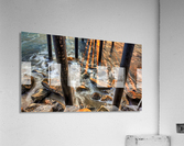 Under the pier Acrylic Print