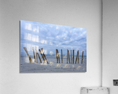 Cleut Rouz Acrylic Print