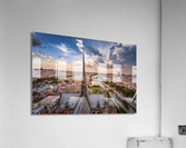 Notre Dame rooftop Acrylic Print