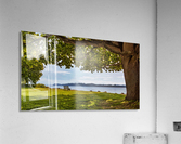 Under the old oak tree Acrylic Print