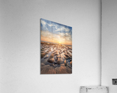 La Jolla reef Acrylic Print