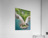 Pointe de la trinite Acrylic Print