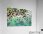 plage des oiseaux 2 Acrylic Print
