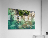 plage des oiseaux Acrylic Print