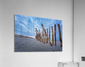Cleut Rouz Acrylic Print