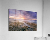 La Jolla reef 5 Acrylic Print