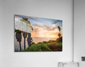 swami s2 Acrylic Print